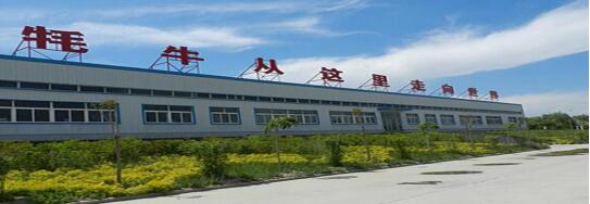 青海西北驕天然營養(yǎng)食品有限公司財務業(yè)務一體化(圖1)
